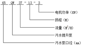 大東海泵業污水提升泵