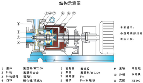 大東海泵業氟塑料磁力泵結構示意圖