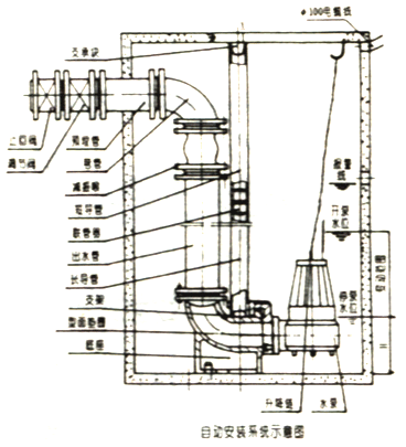 大東海泵業(yè)AS泵安裝示意圖