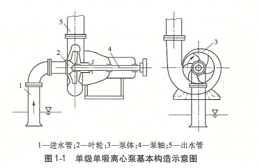 大東海泵業(yè)單級離心泵構(gòu)造示意圖