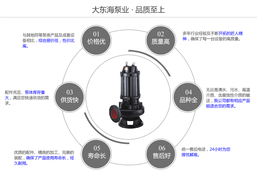 大東海泵業WQ型無堵塞污水泵質量保證圖